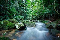 Environment Focus